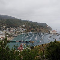 Photo taken at Catalina Express by Brigette on 6/4/2023