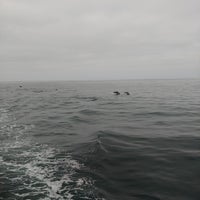 Photo prise au Davey&amp;#39;s Locker Sport Fishing &amp;amp; Whale Watching par Brigette le7/8/2023