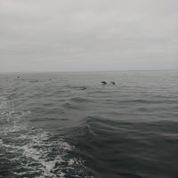 Photo taken at Davey&amp;#39;s Locker Sport Fishing &amp;amp; Whale Watching by Brigette on 7/8/2023