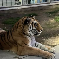 Photo taken at Tehran Zoo by Mohammad t. on 3/22/2024