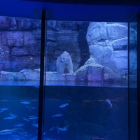 Photo taken at Aqua Museum by Andy J. on 10/13/2023
