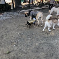 Photo taken at Union Square Dog Run by Lauren S. on 1/18/2018