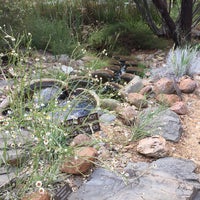 รูปภาพถ่ายที่ Australian National Botanic Gardens โดย Sue J. เมื่อ 1/9/2018