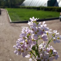 Photo taken at Теннисный клуб «Династия» by Татьяна П. on 5/20/2018