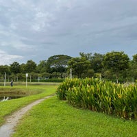 Photo taken at Lorong Halus Wetland by Min T. on 11/8/2022