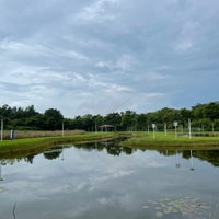 Photo taken at Lorong Halus Wetland by Min T. on 11/8/2022