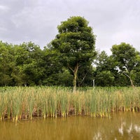 Photo taken at Lorong Halus Wetland by Min T. on 11/8/2022