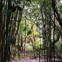 Photo taken at Bamboo Forest by Ghada on 12/25/2019