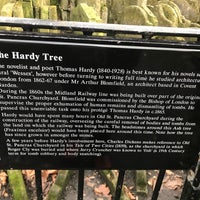 Photo taken at The Hardy Tree by Jacques on 1/13/2018