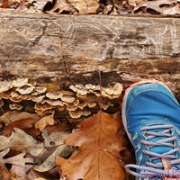 Foto diambil di Reedy Creek Nature Center oleh Joy L. pada 12/8/2022