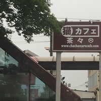 猫カフェ 茶々丸 Cafe Em 水戸市 猫カフェ 茶々丸 Cafe Em 水戸市
