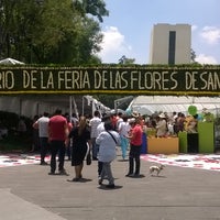 Photo taken at Feria de las flores San Ángel by Alejandro Z. on 7/16/2017