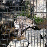 Photo taken at Snow Leopards by Angela H. on 1/8/2013