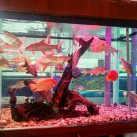 南洋鱼场 Nanyang Fish Farm 1 Tip