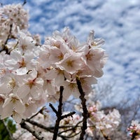 Photo taken at 弁天公園 by myodentter on 3/28/2022