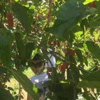 Photo taken at Zeytinburnu Tıbbi Bitkiler Bahçesi by Arslan on 6/8/2019