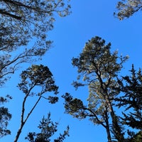 Photo taken at Monarch Grove Sanctuary by James C. on 11/26/2021
