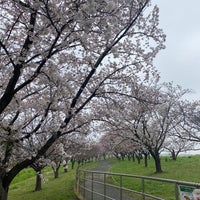 Photo taken at 荒川河川敷 by はっしー 浦. on 4/6/2024