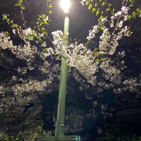 Photo taken at 飯塚氷川神社 by はっしー 浦. on 3/28/2020