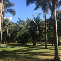 6/15/2015 tarihinde Andra Z.ziyaretçi tarafından Parque Ibirapuera'de çekilen fotoğraf