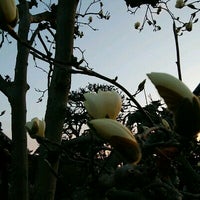 佐野観光農園 アグリタウン 植下町802 4 佐野観光農園 アグリタウン 植下町802 4