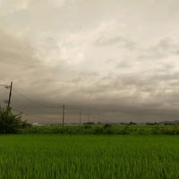 佐野観光農園 アグリタウン 植下町802 4