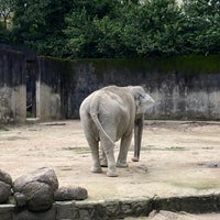 Photo taken at Zoo Taiping &amp;amp; Night Safari by Alef on 12/19/2023