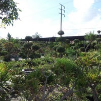 Photos At Mimosa Nursery Flower Photo Taken At Mimosa Nursery By Ngoco D On 12 3 2017