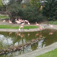 Miejski Ogrod Zoologiczny Nowa Praga Warschau Woiwodschaft