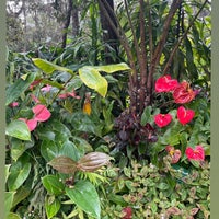Photo taken at Mountain Thunder Coffee Plantation by Marie L. on 6/29/2023