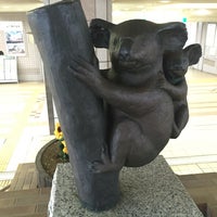 ユーカリが丘 コアラの街 Neighborhood
