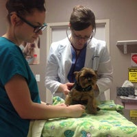5/14/2015에 Queen Creek Veterinary Clinic님이 Queen Creek Veterinary Clinic에서 찍은 사진