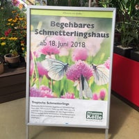 Photo taken at Pflanzen-Kölle by Eric I. on 7/30/2018