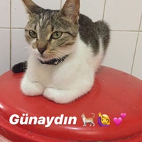 Photo taken at Vets and Pets Veteriner Kliniği by FBnry1907 . on 9/8/2019