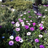 Yalova Bahçe Market