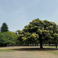 Photo taken at Hikarigaoka Park by 健希 渡. on 4/29/2024