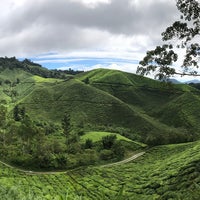 Photo taken at BOH Sungei Palas Tea Centre by Eashah N. on 7/12/2020