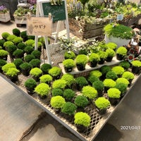 次での写真 とうま園芸 所沢市の生花店 次での写真 とうま園芸 所沢市の生花店