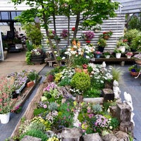Photos At とうま園芸 Flower Shop In 所沢市