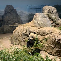 Photo taken at Giant Panda House by Wu-Ning H. on 11/6/2023