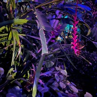 รูปภาพถ่ายที่ Olbrich Botanical Gardens โดย Owen H. เมื่อ 9/16/2023