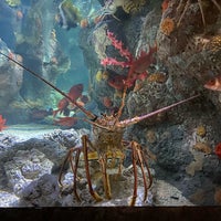Photo taken at Downtown Aquarium by Cid S. on 4/1/2024