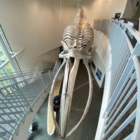 Снимок сделан в University of Alaska Museum of the North пользователем Cid S. 6/23/2023