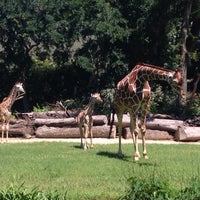 Photo taken at Fort Worth Zoo by Moira B. on 5/31/2015