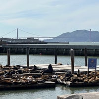 Photo taken at Pier 39 Marina by Nazanin S. on 4/5/2023