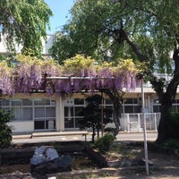 Fotos En 千葉県立 松戸特別支援学校 松戸市 12 Visitantes Fotos En 千葉県立 松戸特別支援学校 松戸市 12 Visitantes