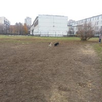 Photo taken at площадка для собак by Denis P. on 10/26/2013