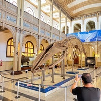 Das Foto wurde bei Museo Nacional de Historia Natural von Georgy🍍 am 3/22/2024 aufgenommen