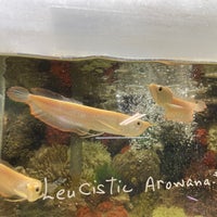 Photo taken at Pet Zone Tropical Fish by Roger M. on 9/24/2022