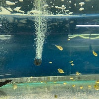 9/24/2022にRoger M.がPet Zone Tropical Fishで撮った写真